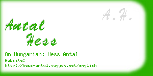 antal hess business card